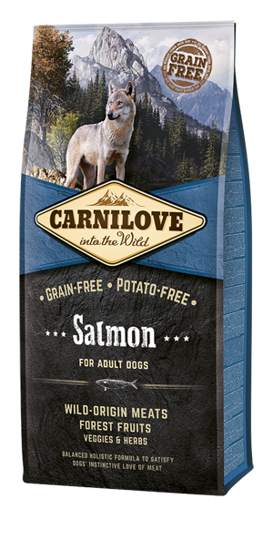 CARNILOVE SAUMON